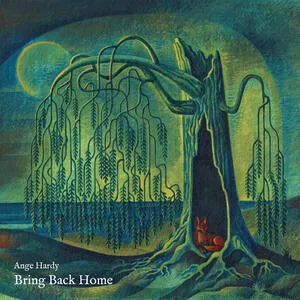 Bring back home
